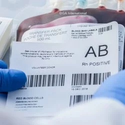 CCHLPI025 blood bag sticker (1)