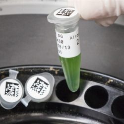 Autocollant pour tube à essai CCHLPI449 (6)