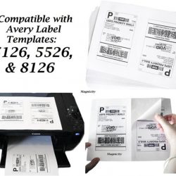 CCUSS050 8.5 x 11 US standard express shipping labels (2)