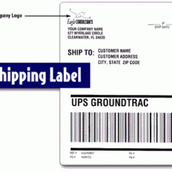 CCUSS050 8.5 x 11 US standard express shipping labels